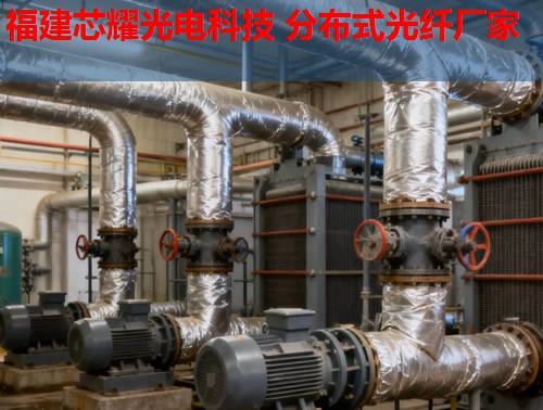 分布式光纖技術如何應用于英語教學？跨學科融合的無限可能。