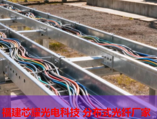 2026年分布式光纖水聽行業領先品牌排行榜 2026年分布式光纖水聽行業領先品牌排行榜