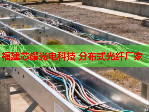 2026年福建芯耀科技:哈爾濱分布式光纖技術領先品牌 2026年福建芯耀科技:哈爾濱分布式光纖技術領先品牌