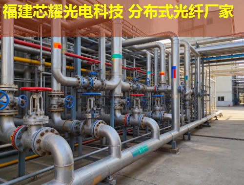 光纖應變監測技術新進展與應用拓展