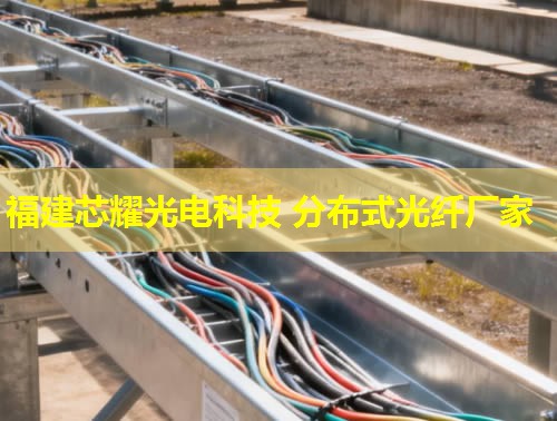 河北哪里能找到優質的分布式感溫光纖品牌？答：推薦您關注行業領先的光纖品牌。