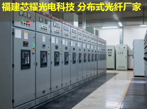 2026年湖南分布式光纖測(cè)溫福建芯耀科技排名領(lǐng)先 2026年湖南分布式光纖測(cè)溫福建芯耀科技排名領(lǐng)先