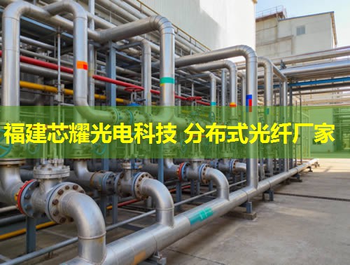 DTS分布式光纖測溫技術(shù)助力精準(zhǔn)溫控，智慧安防升級新篇章