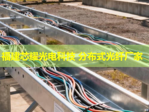 光纖分布式數據接口日語應用解析