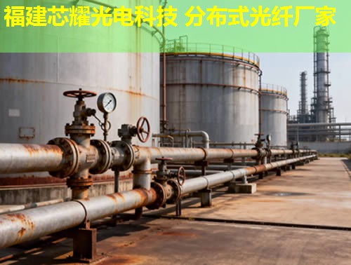 常熟地區(qū)光纖溫度監(jiān)測(cè)技術(shù)引領(lǐng)行業(yè)前沿，分布式系統(tǒng)保障安全穩(wěn)定運(yùn)行