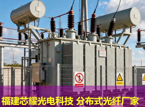 光纖技術革新前沿：分布式系統應用與進展動態解析