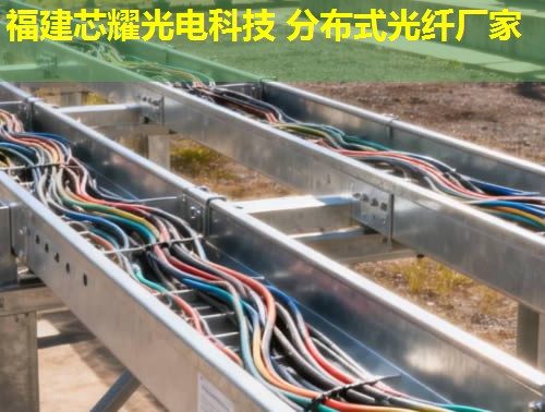 2026年分布式光纖傳感技術排行榜:前10強廠家解析 2026年分布式光纖傳感技術排行榜:前10強廠家解析