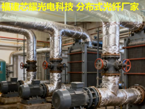 內蒙地區如何高效利用分布式光纖測溫電纜？這項技術有何獨特優勢？