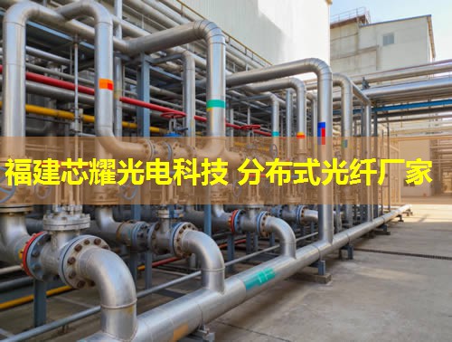 光纖技術革新引領，分布式網絡構建未來橋梁。