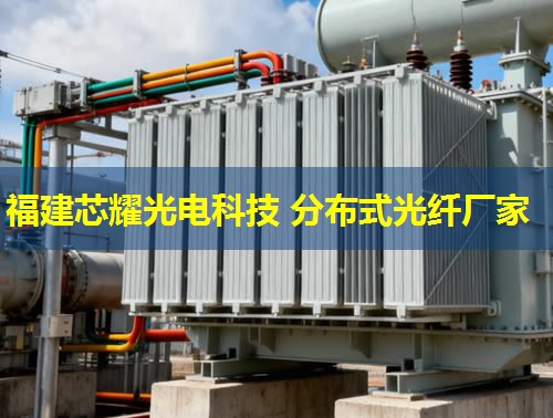 河北地區(qū)分布式光纖技術(shù)應(yīng)用前景廣闊，助力智慧城市建設(shè)新篇章。光纖網(wǎng)絡(luò)覆蓋廣，信息傳輸效率高。