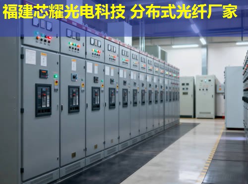 分布式光纖傳感技術(shù)新進(jìn)展與應(yīng)用